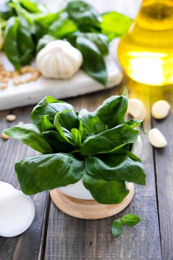 İtalyan pesto sos yapmak için taze malzemeler