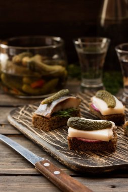 Pastırma ve karanlık bir arka plan üzerine votka için çerez olarak ringa balığı ile Mini sandviç