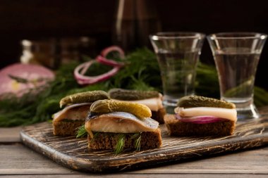 Pastırma ve karanlık bir arka plan üzerine votka için çerez olarak ringa balığı ile Mini sandviç