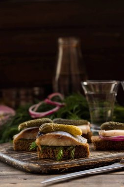 Pastırma ve karanlık bir arka plan üzerine votka için çerez olarak ringa balığı ile Mini sandviç