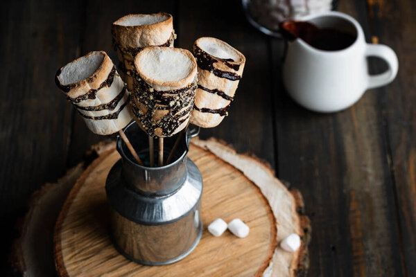 Жареный зефир на палочке в шоколадной глазури и увенчанный крекерами. Альтернативный запах печенья. Тёмный деревенский стиль
.