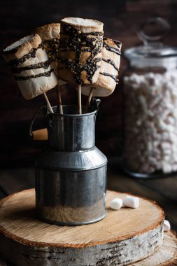 Çubuk çikolatalı kremanın üzerinde kızarmış marşmelov ve üstüne de kraker. Alternatif bisküvi suyu. Koyu kırsal tarzı.