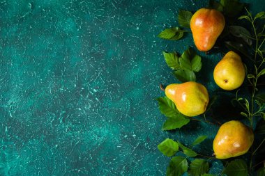 Parlak turkuaz arka planda yaprakların arasında su damlacıkları olan taze organik armutlar. Metin için yer.