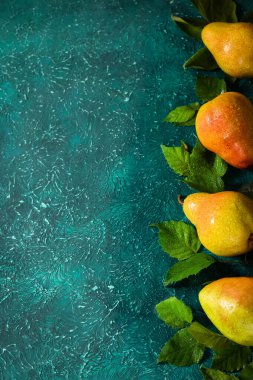 Parlak turkuaz arka planda yaprakların arasında su damlacıkları olan taze organik armutlar. Metin için yer.