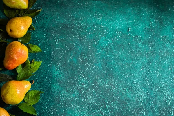 Parlak turkuaz arka planda yaprakların arasında su damlacıkları olan taze organik armutlar. Metin için yer.