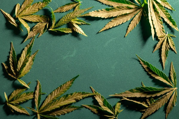 Hoja Marihuana Texturizada Cerca Sobre Fondo Oscuro Antecedentes Hojas Cannabis — Foto de Stock