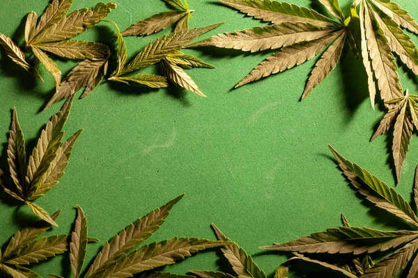 Folha Maconha Texturizada Close Fundo Escuro Antecedentes Folhas Cannabis Droga — Fotografia de Stock