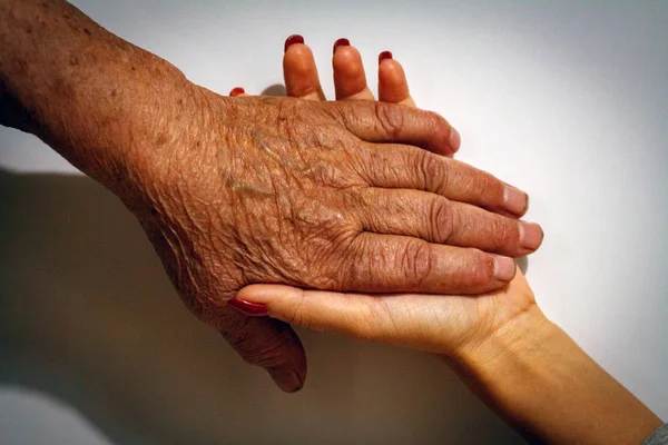 İnsan derisinin yaşlanma süreci - çok yaşlı bir adamın kırışık elleri 90-100 yıl boyunca kuru cilt ve lekelerle kaplı yaşadı.
