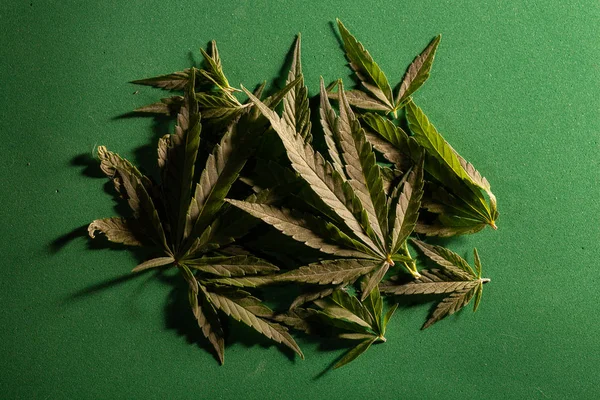 Achtergrond van cannabis drugs bladeren. — Stockfoto