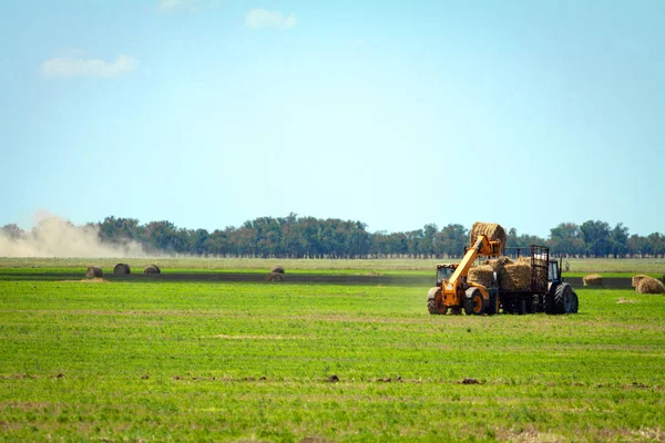 Tractor cargando fardos de heno en trabajos agrícolas de camiones —  Fotos de Stock