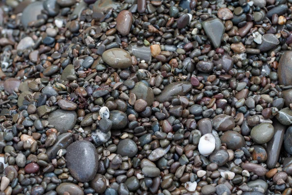 Tengeri kavicsok színes gránit a strandon háttér kövek. — Stock Fotó