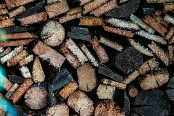 Legna da ardere sfondo, Stack di legna da ardere nella foresta — Foto Stock