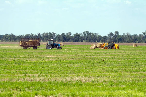 Tractor cargando fardos de heno en trabajos agrícolas de camiones — Foto de Stock