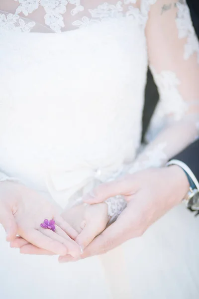 Bride holding small flower — Stock Photo, Image