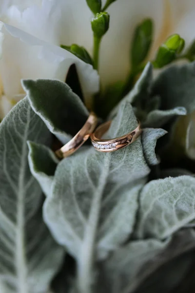 Свадебные кольца на листьях Лицензионные Стоковые Фото