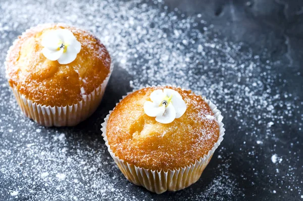 Capcakes alla vaniglia fatti in casa — Foto Stock