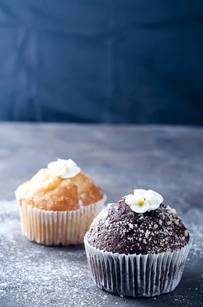 Chokolate fatto in casa e capcakes alla vaniglia — Foto Stock