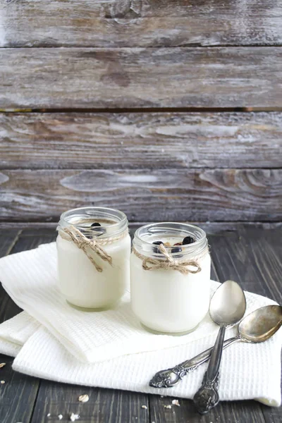 Iogurte caseiro saboroso com aveia — Fotografia de Stock