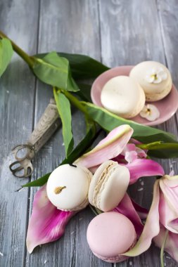 Tatlı vanilya macarons Fransız