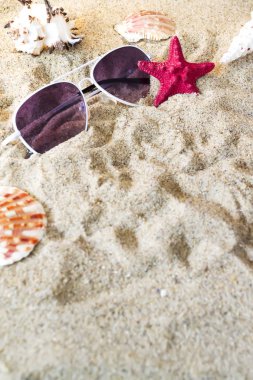 Deniz kabukları kum üzerinde bileşimi.