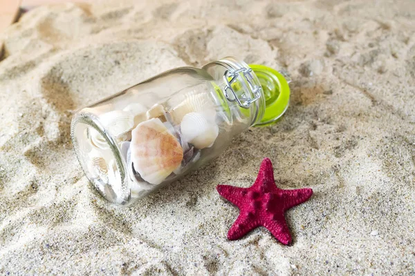 Arka planda kum olan deniz kabukları