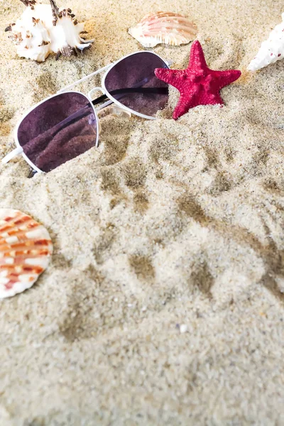 Deniz kabukları kum üzerinde bileşimi.