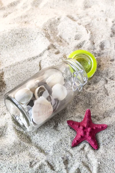 Arka planda kum olan deniz kabukları