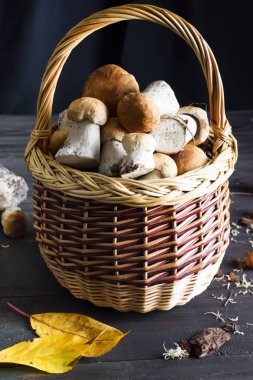 organik orman mantar bir sepet içinde