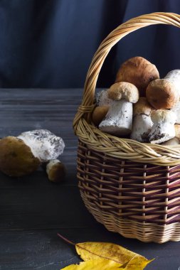 organik orman mantar bir sepet içinde