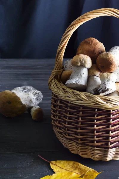 organik orman mantar bir sepet içinde