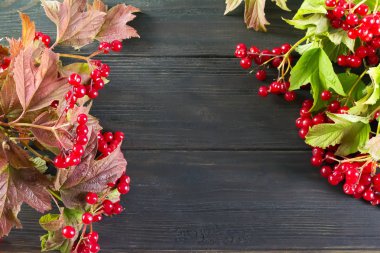 Kartopu berry köşe çerçeve yaptı