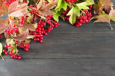 Kartopu berry köşe çerçeve yaptı
