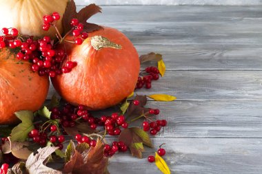 Sonbahar kabak gri bir ahşap zemin üzerine