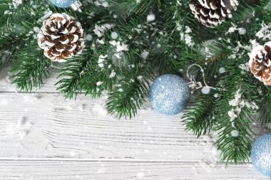 Noel ağacı dalları ile Kış Noel arka plan