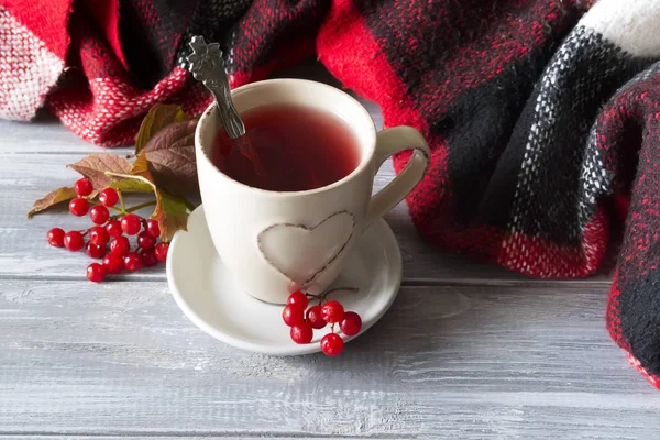 Tasse de thé chaud et plaid — Photo