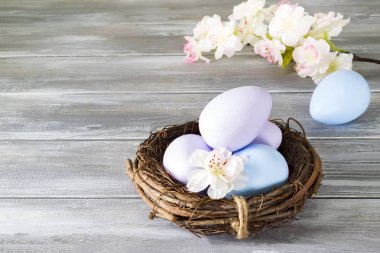 Elle boyanmış Paskalya yumurtası ile bahar çiçekleri ahşap gri arka plan üzerinde bir yuva. Mutlu Paskalya