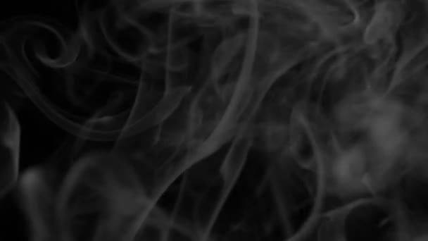 Кадри білого диму на чорному тлі. HD відео — стокове відео