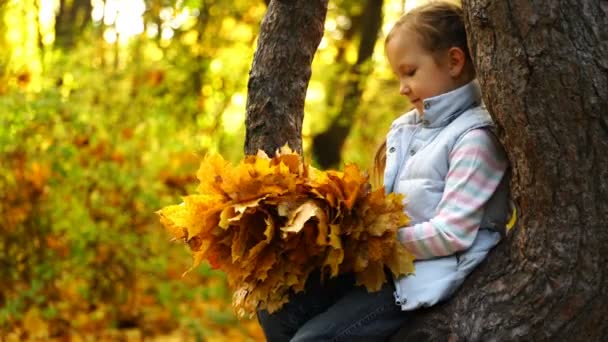 Metraje chica sentada en un árbol y sosteniendo hojas de otoño — Vídeo de stock