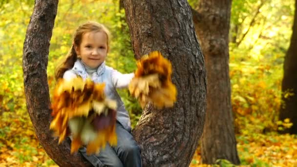 Vidéo fille assis sur un arbre et tenant feuilles d'automne — Video