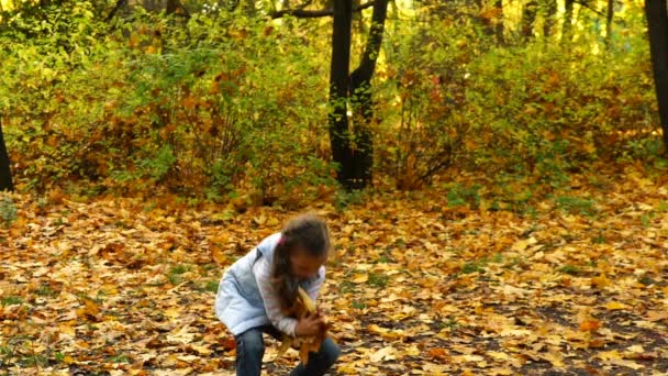 La fille aux images vomit des feuilles d'automne dans le parc. Vidéo HD . — Video