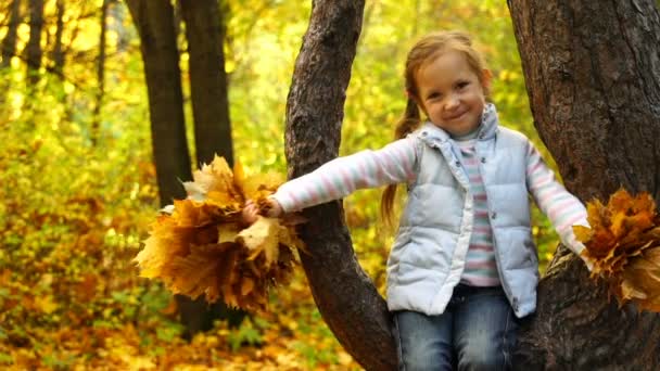 Metraje chica sentada en un árbol y sosteniendo hojas de otoño — Vídeo de stock