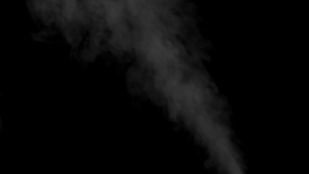 Footage white smoke on black background. Full HD video. — Stock Video