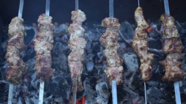 Görüntüleri Şaşlık mangal üzerinde yanmış