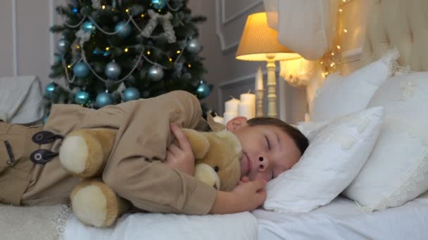 Footage boy sleeps with teddy bear on a bed near a Christmas tree. 4K — Stock Video