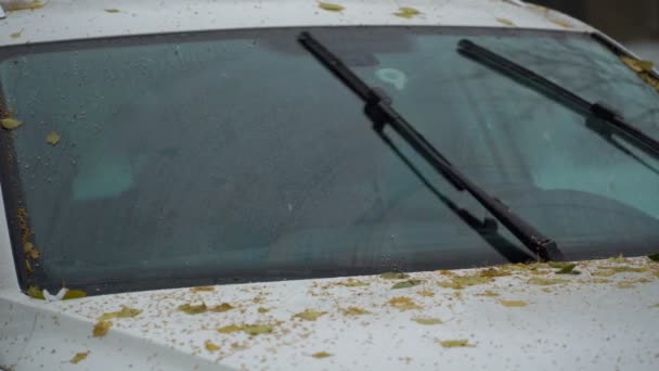 Imágenes limpiaparabrisas vidrio limpio está en el coche de las hojas y la lluvia. 4K — Vídeo de stock
