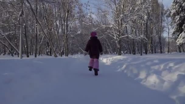 Beeldmateriaal meisje lopen in de winter park. Steadicam schot. — Stockvideo