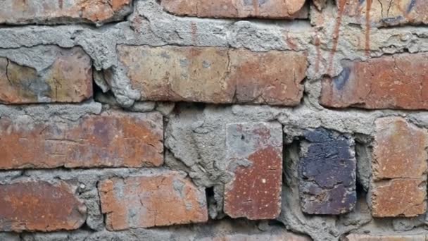 Footage old brick wall background. — Stock Video
