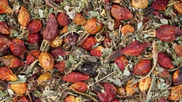 Dried rosehips and leaves — Stock Video