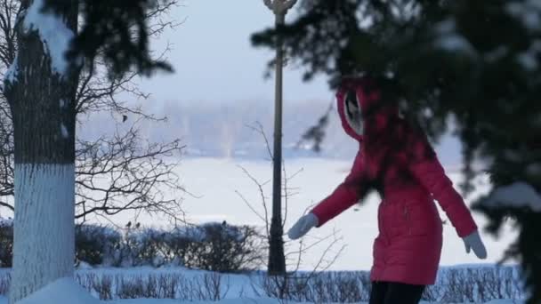 Ragazza a cavallo sul ghiaccio pattinaggio nel parco — Video Stock