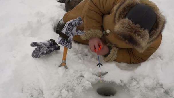 Fiskare fångar en fisk på isfiske. — Stockvideo